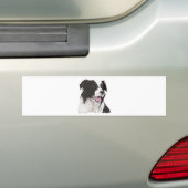 Zwarte en witte collie met bruine ogen bumpersticker (Op auto)