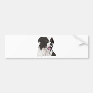 Zwarte en witte collie met bruine ogen bumpersticker
