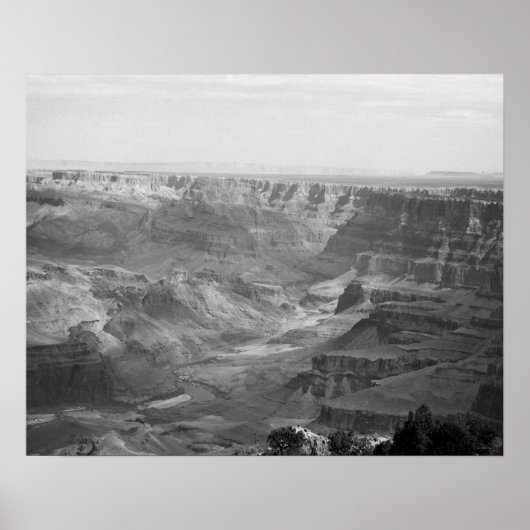 Zwarte en Witte Colorado in Grand Canyon 16x20 Poster (Voorkant)
