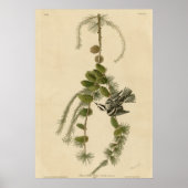 Zwarte en witte Creeper Poster (Voorkant)