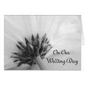 Zwarte en Witte Dag van de Woensdag (Voorkant Horizontaal)