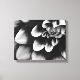 Zwarte en Witte Dahlia Bloem Canvas Afdruk