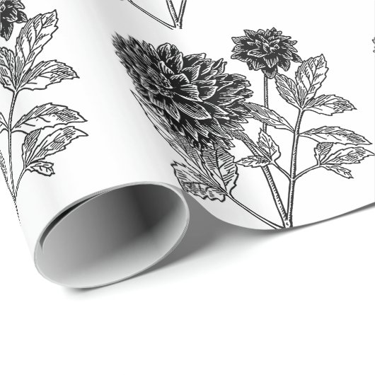 Zwarte en Witte Dahlia Cadeaupapier (Rol Hoek)