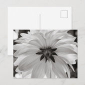 Zwarte en Witte Dahlia Flower Briefkaart (Voorkant / Achterkant)