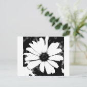 Zwarte en Witte Daisy Briefkaart (Staand voorkant)