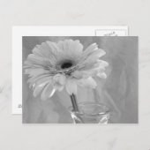 Zwarte en Witte Daisy Briefkaart (Voorkant / Achterkant)