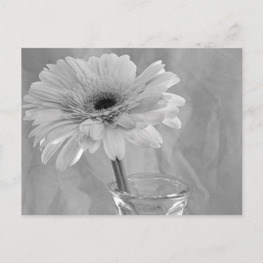 Zwarte en Witte Daisy Briefkaart (Voorkant)