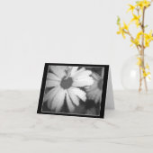 Zwarte en Witte Daisy Kaart (Gele Bloem)