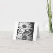 Zwarte en Witte Daisy Kaart (Achterkant)