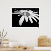 Zwarte en Witte Daisy Poster (Keuken)