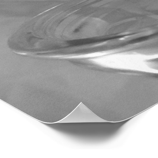 Zwarte en Witte Daisy Poster (Hoek)