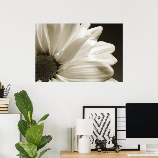 Zwarte en Witte Daisy Poster (Thuiskantoor)