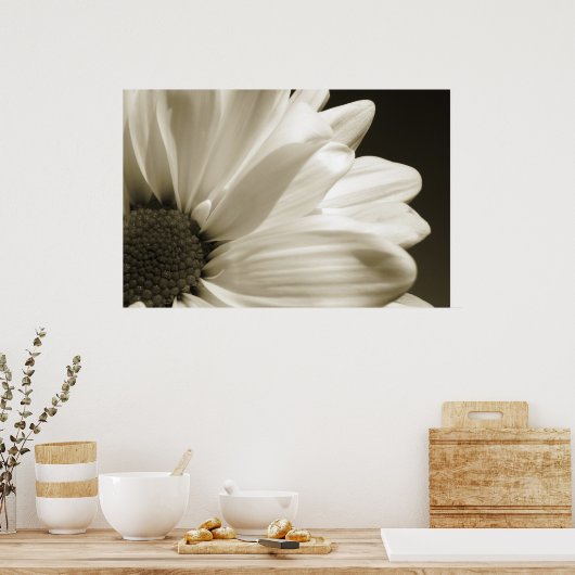 Zwarte en Witte Daisy Poster (Keuken)
