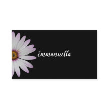 Zwarte en Witte Daisy