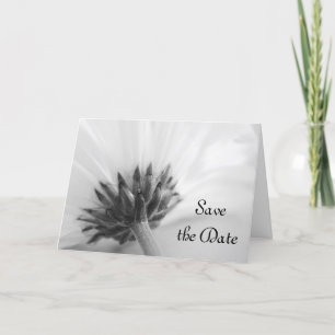 Zwarte en Witte Daisy Wedding Save the Date Aankondiging