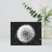 Zwarte en witte dandelion briefkaart (Staand voorkant)
