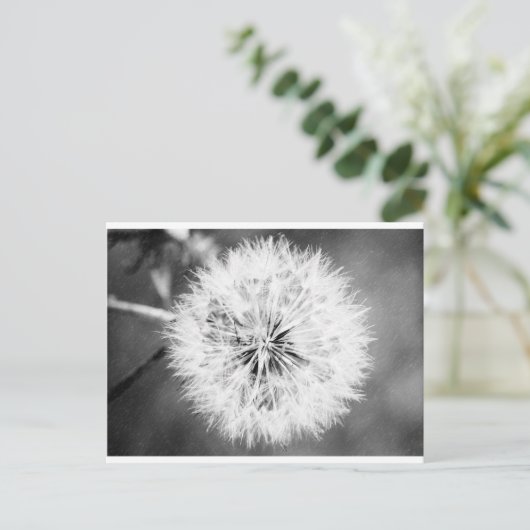 Zwarte en witte dandelion briefkaart (Staand voorkant)