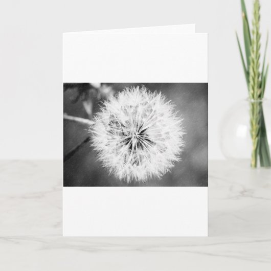 Zwarte en witte dandelion kaart (Voorkant)