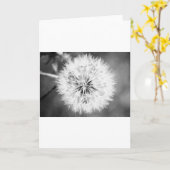 Zwarte en witte dandelion kaart (Gele Bloem)