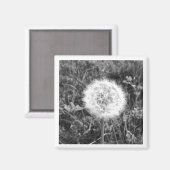 Zwarte en witte dandelion magnet (Voorkant / Achterkant)