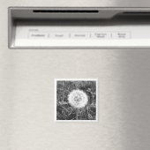Zwarte en witte dandelion magnet (Insitu (Vaatwasser))