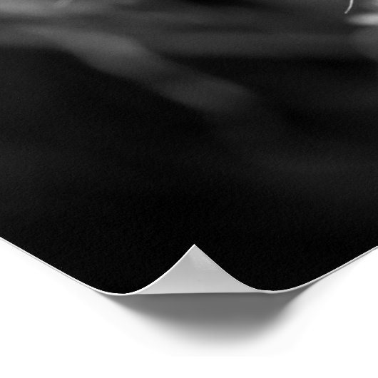 Zwarte en witte Dandelion Poster (Hoek)