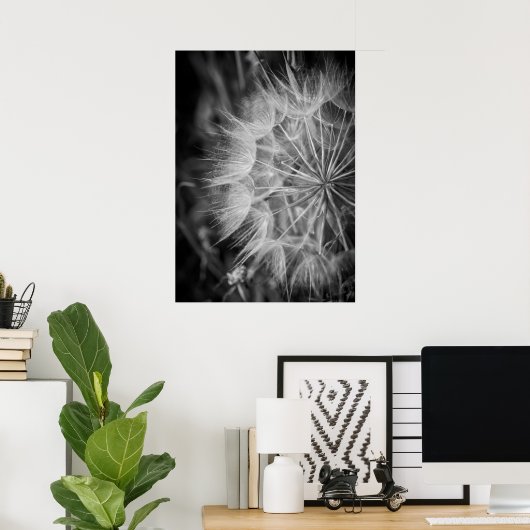 Zwarte en witte Dandelion Poster (Thuiskantoor)