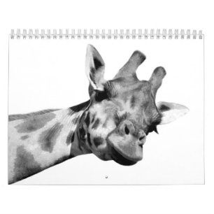 Zwarte en witte dieren kalender