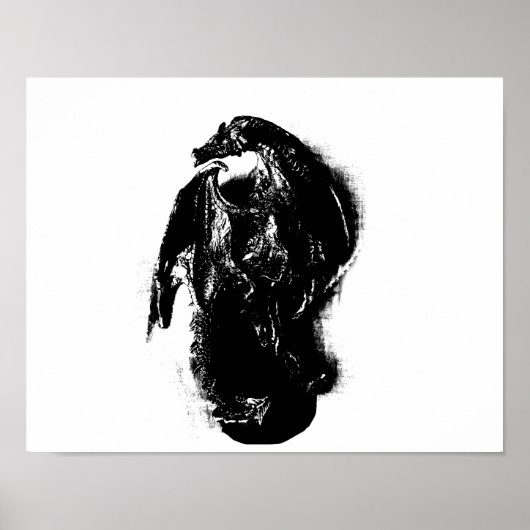 Zwarte en witte draak poster (Voorkant)