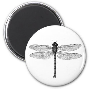  zwarte en witte dragonfly-illustratie magneet