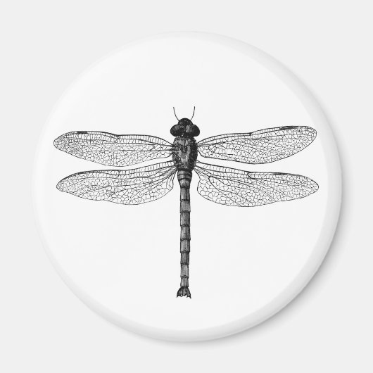  zwarte en witte dragonfly-illustratie magneet (Voorkant)