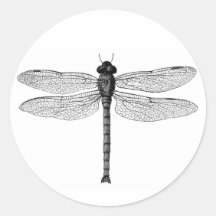  zwarte en witte dragonfly-illustratie