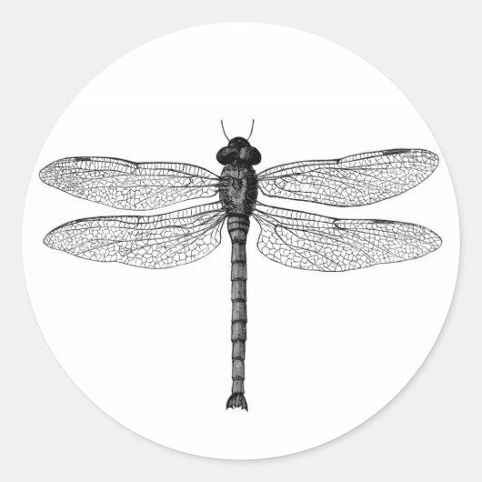 zwarte en witte dragonfly-illustratie ronde sticker (Voorkant)