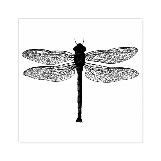 zwarte en witte dragonfly-illustratie rubberstempel (Afrduk)