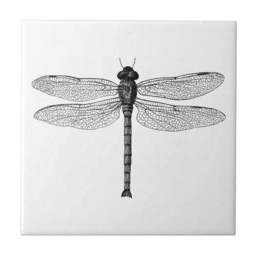  zwarte en witte dragonfly-illustratie tegeltje (Voorkant)