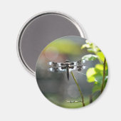 Zwarte en witte dragonfly magneet (Voorkant / Achterkant)