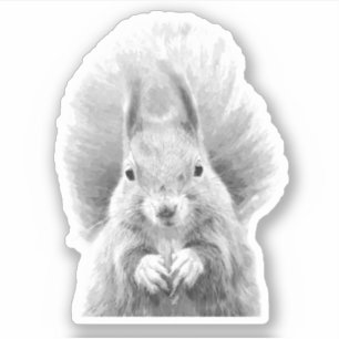 Zwarte en witte eekhoorn sticker