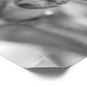 Zwarte en witte eekhoornaap Wildlife Poster (Hoek)