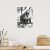 Zwarte en witte eekhoornaap Wildlife Poster (Keuken)