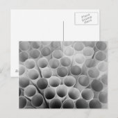 Zwarte en witte flexibele rietjes briefkaart (Voorkant / Achterkant)
