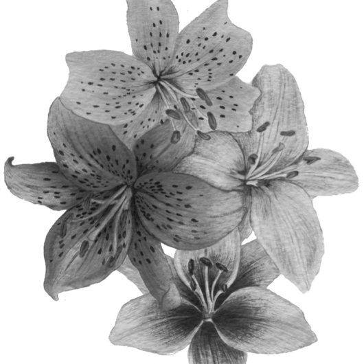 zwarte en witte florale contemporkunst tote bag