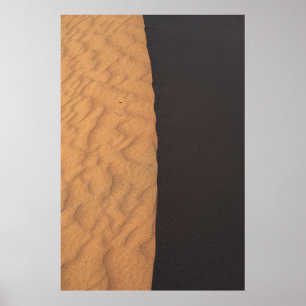 Zwarte en witte florale textiel poster