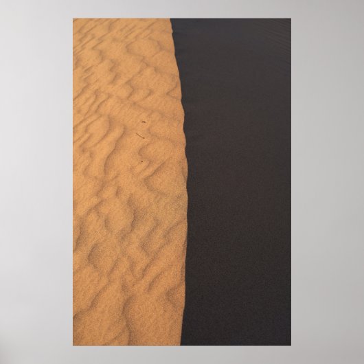Zwarte en witte florale textiel poster (Voorkant)
