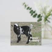 Zwarte en Witte Foto van een Aandachtige Babygeit Briefkaart (Staand voorkant)