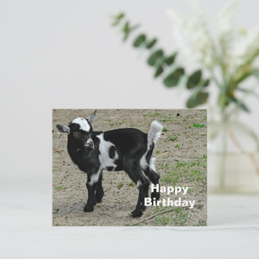 Zwarte en Witte Foto van een Aandachtige Babygeit  Briefkaart (Staand voorkant)