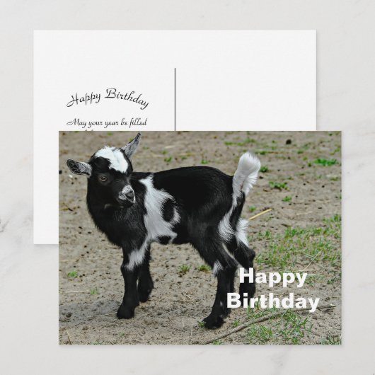 Zwarte en Witte Foto van een Aandachtige Babygeit  Briefkaart (Voorkant / Achterkant)