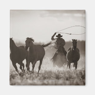 Zwarte en witte foto van een Cowboy Lassoing Horse Magneet