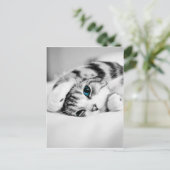 Zwarte en witte foto van een kat briefkaart (Staand voorkant)