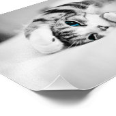 Zwarte en witte foto van een kat foto afdruk (Hoek)