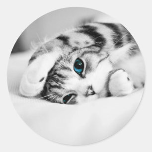 Zwarte en witte foto van een kat ronde sticker